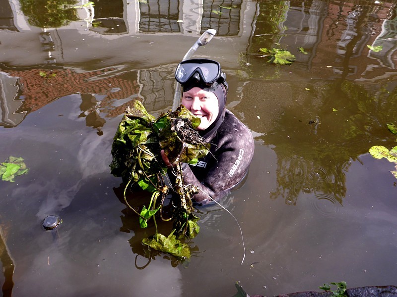 onderwaterinleiden stadsgrachten waterplanten aaf