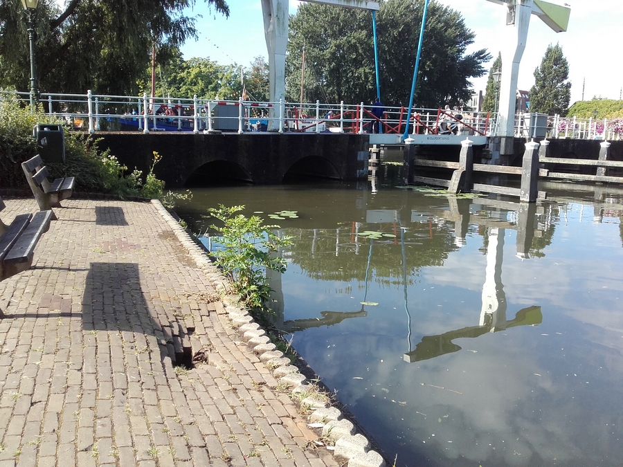 Een flinke sinkhole mogelijk veroorzaakt door rivierkreeften of wolhandkrab