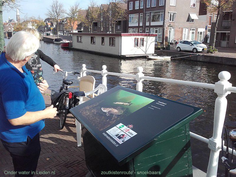 zoutkistenroute in de havenwijk, Leiden