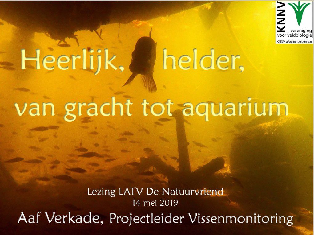 Voor de aquariumvereniging maakte ik een speciale presentatie, gericht op hun vakgebied