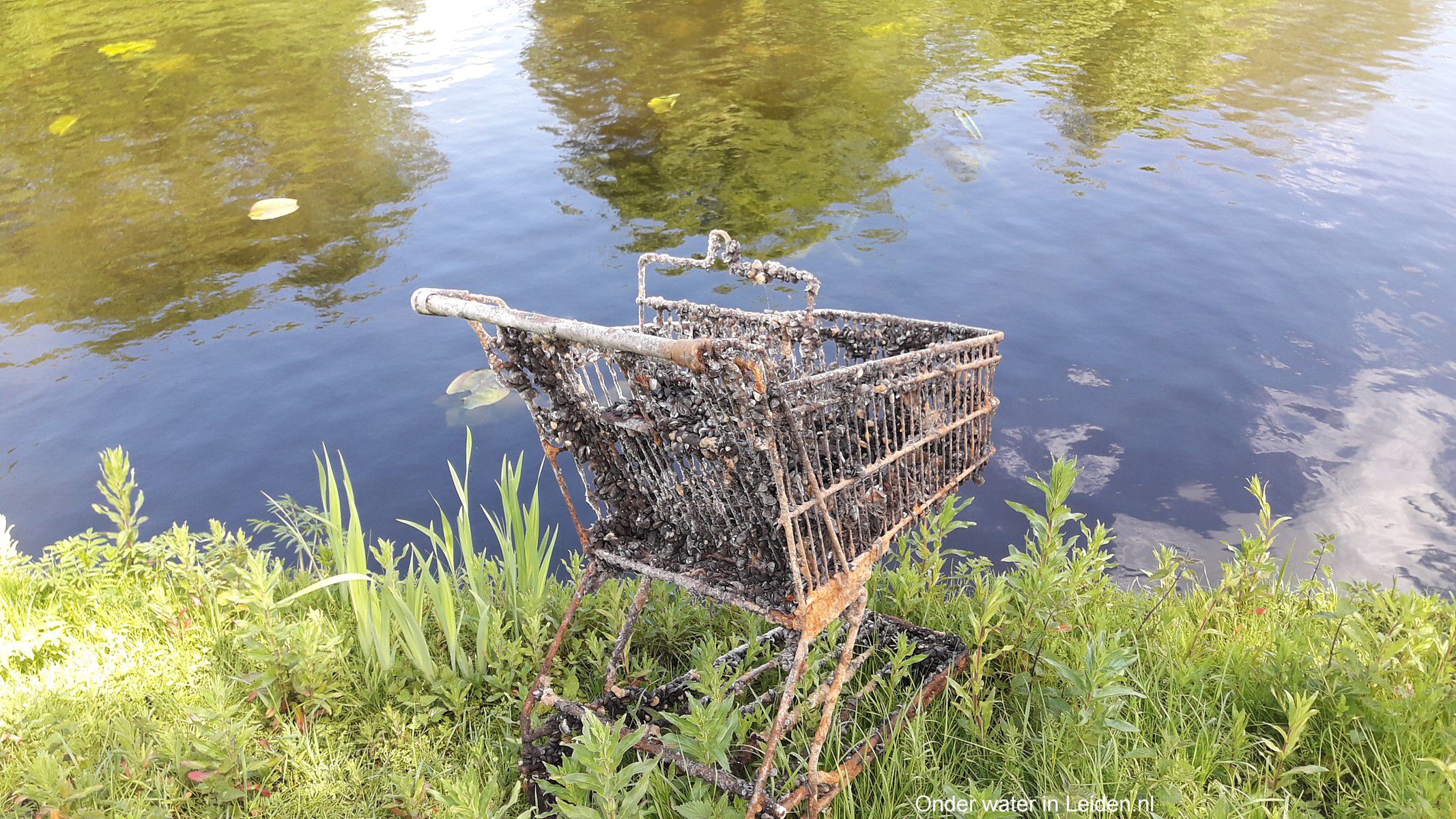 Een winkelwagen kan een compleet kunstrif worden en daarmee het begin van de voedselketen. Magneetvissen is inmiddels in heel Leiden verboden. Er gaat téveel natuur verloren en kapot door deze hobby.